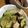 moidixmois's cooksnap of when they made ささみと胡瓜の梅肉和え.