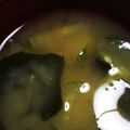 クック1VFF6B☆'s cooksnap of when they made 育ちすぎきゅうりのお味噌汁.