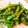 kisberry's cooksnap of when they made 基本の和食46　いんげんの胡麻和え.