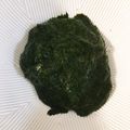 らぶかな's cooksnap of when they made 離乳食初期・モロヘイヤのペースト.