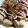 MISOC0's cooksnap of when they made 基本のはしまき.