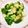 クックE662AA☆'s cooksnap of when they made ♡ブロッコリーにんにく炒め.