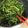 ごめっきー's cooksnap of when they made 5分で完成！空芯菜のオイスター炒め.