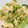 みっくママ's cooksnap of when they made 5分あれば作れる！サニレタの卵とじ.