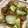 Halü★mama's cooksnap of when they made 焼売＆青梗菜のオイスターソース炒め☆.