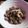 lapan_fact's cooksnap of when they made 簡単♪牛肉としめじのクリーム煮.