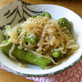 あわ雪りんご's cooksnap of when they made 獅子唐と糸蒟蒻の煮浸し.