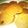 ふくくっく's cooksnap of when they made バナナときな粉のパンケーキ.