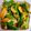 ヤータロ's cooksnap of when they made ご飯にあうピリ辛きゅうり.