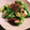 accoxh's cooksnap of when they made オクラとたこのガーリック炒め.