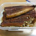 うりぼんぼん621号's cooksnap of when they made うなぎを美味しくする温め方.