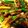 クック2PCF1C☆'s cooksnap of when they made 筍のかわりにジャガイモ〜青椒肉絲.