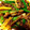 クック2PCF1C☆'s cooksnap of when they made 筍のかわりにジャガイモ〜青椒肉絲.