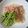 おかかーさん's cooksnap of when they made ツナとみょうがのぶっかけ冷やしうどん.