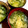 JＥＭＩ's cooksnap of when they made 簡単！時短！きゅうりの中華スープ♪.