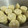 papikun's cooksnap of when they made とうもろこしの蒸し方.