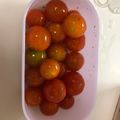 たべたべこ's cooksnap of when they made ミニトマト簡単マリネ.
