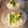 チコリママ's cooksnap of when they made 揚げ茄子のぶっかけうどん.