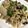 クックIIUFPK☆'s cooksnap of when they made きのこと豚肉のバター醤油炒め.