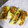ハナ坊☆'s cooksnap of when they made きのことソーセージのカレー生春巻き.