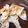 kinako10's cooksnap of when they made 簡単＊春巻の皮で中華風のり塩チップス.