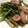 クックTSILSL☆'s cooksnap of when they made ニンニクの芽とウインナーの炒め物.