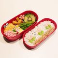 こともみ's cooksnap of when they made 小学生遠足チューリップお花畑弁当.