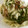 クックTopMfld's cooksnap of when they made ☆ちくわときゃべつの炒めもの☆.