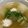 Halü★mama's cooksnap of when they made 鶏肉だんごと冬瓜のスープ.