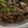 MULA's cooksnap of when they made 困った時は…鍋にはうちの手作りポン酢〜.