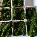 ジュン0509's cooksnap of when they made 離乳食初期・モロヘイヤのペースト.