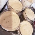 ユカtoマオマオ's cooksnap of when they made ♡とろけるコーヒープリン♡.