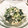 y_u♡'s cooksnap of when they made ほうれん草とツナのマヨからし合え.