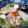 クック6DDPP8☆'s cooksnap of when they made 我が家の八宝菜♪.