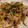 a15man's cooksnap of when they made ごぼうと切干し大根の炒め物.