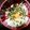 けいたん☆ママ's cooksnap of when they made ランチに絶品♡釜揚げしらす丼♡.