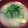 もきち☆'s cooksnap of when they made 鯵の冷や汁.
