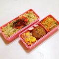 乙川日奈's cooksnap of when they made あと1品に♪もやしとハムの簡単中華サラダ.