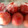 クックLCJQO8☆'s cooksnap of when they made トマトの冷凍保存.