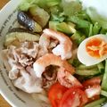 づぃんこ's cooksnap of when they made 冷たい麺弁当　サラダうどん.