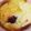 しママン's cooksnap of when they made ブルーベリーのマフィン.