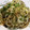 樹の芽's cooksnap of when they made 蓮根塩・青のり焼き.