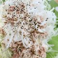 みっくママ's cooksnap of when they made 大根ツナマヨサラダ.