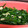 ゆきにな's cooksnap of when they made ニラとあさりのおひたし風ナムル.