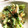 ちづりんも's cooksnap of when they made 節約！ゴウヤのおかか和え.