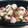 みゃじま's cooksnap of when they made さっぱり♪簡単♪鶏ささみの梅しそ和え.