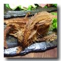 crabhoney's cooksnap of when they made クセになる♪いわしの骨せんべい.