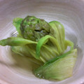 Haru Haru's cooksnap of when they made 塩麹さんでふきのとうの煮びたし.