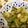 猫のミイヤ's cooksnap of when they made 埼玉青茄子の味噌炒め.