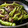 マイク伊東's cooksnap of when they made ししとうとナスの挽肉炒め.